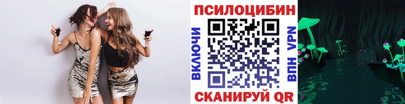 mega ссылки  Каргополь  Галлюциногенные грибы Magic Shrooms 