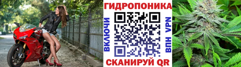Каннабис план  закладка  Каргополь 
